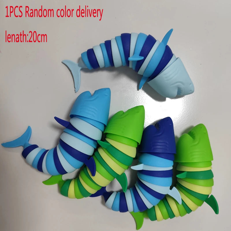 Buckle Slug & Shark Fidget Toy – Colorful Stress Relief Squishy for Kids & Adults