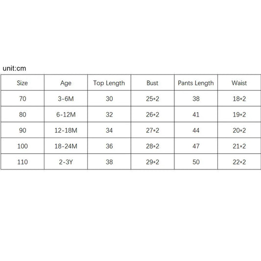 2PCS Baby Boy Outfit – Long Sleeve Letter Pullover & Pocket Pants (Newborn)