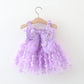 Baby Girl Princess Party Dress – Back Bow & Wing Embroidery Mesh Outfit (0-3Y)